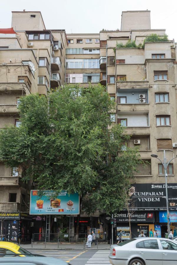 Petite Maison Sur Le Boulevard Bucharest Luaran gambar